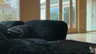 clairewalkerrr - chaturbate