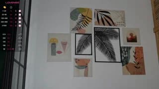 corni__ - chaturbate