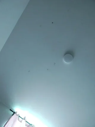 dannaparker thumbnail